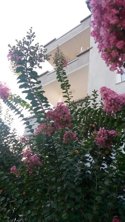 פטריך Family Hotel "May" חדר תמונה