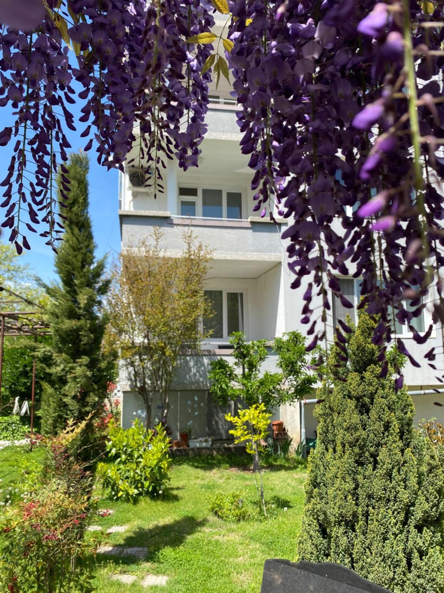 פטריך Family Hotel "May" מראה חיצוני תמונה